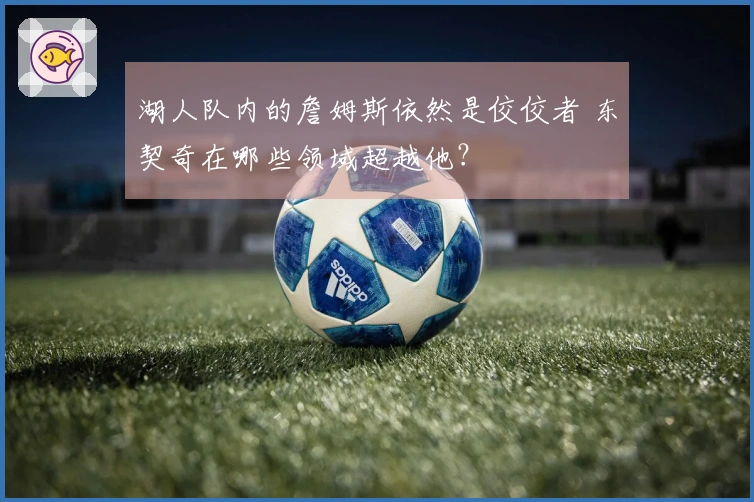 湖人队内的詹姆斯依然是佼佼者 东契奇在哪些领域超越他？