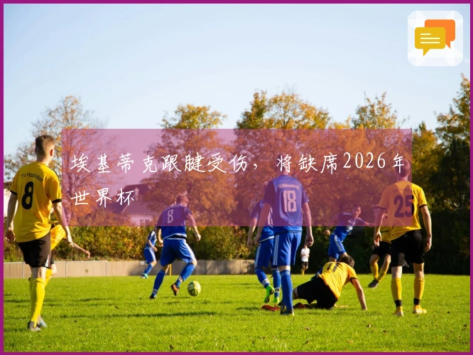 埃基蒂克跟腱受伤，将缺席2026年世界杯
