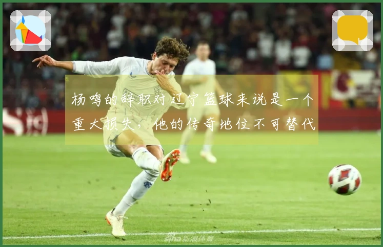杨鸣的辞职对辽宁篮球来说是一个重大损失，他的传奇地位不可替代。