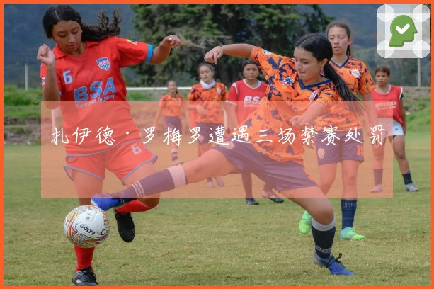 扎伊德·罗梅罗遭遇三场禁赛处罚