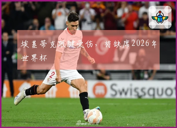 埃基蒂克跟腱受伤，将缺席2026年世界杯
